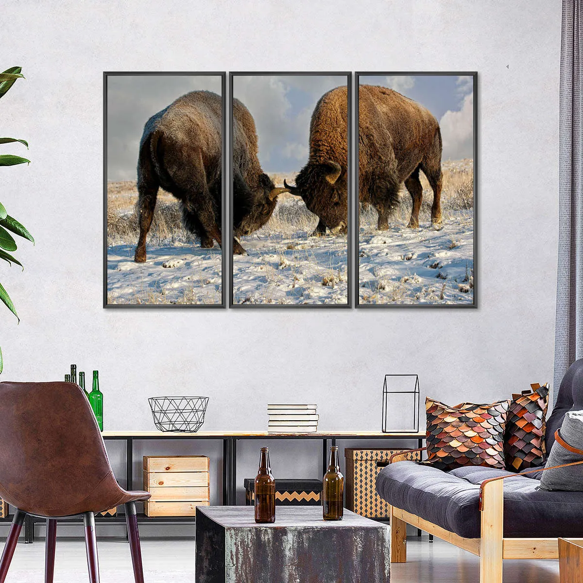 A Fight Between Two Male Bison Wall Art