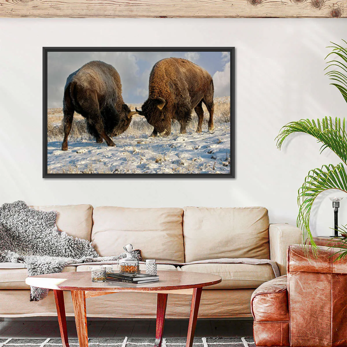 A Fight Between Two Male Bison Wall Art