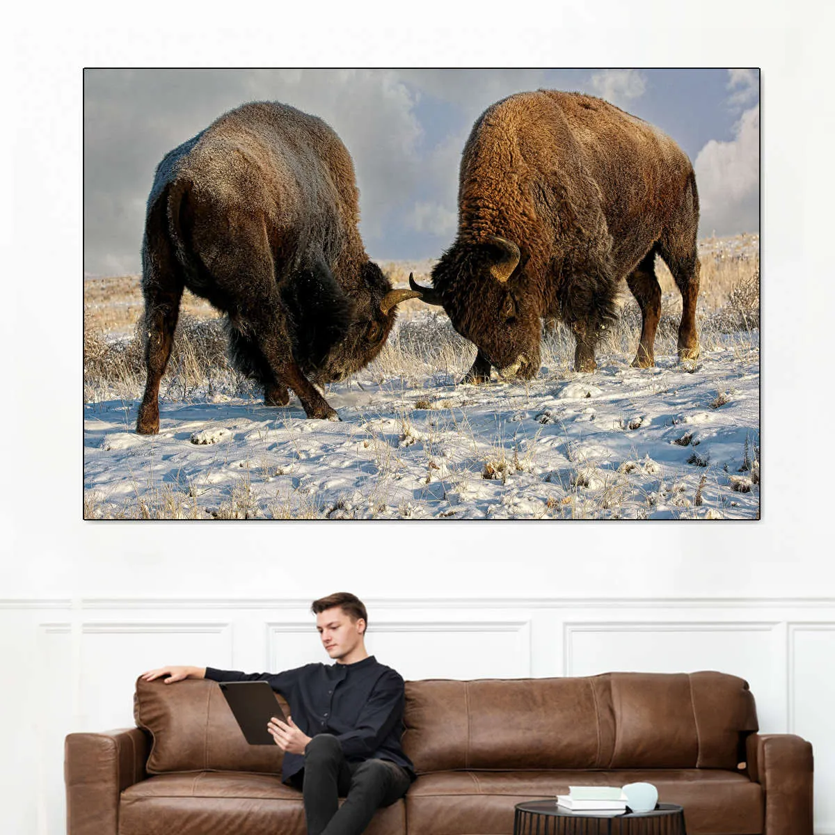 A Fight Between Two Male Bison Wall Art