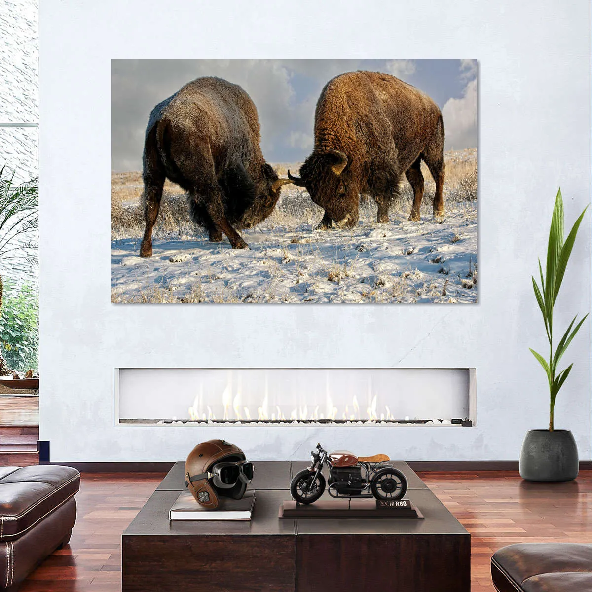 A Fight Between Two Male Bison Wall Art