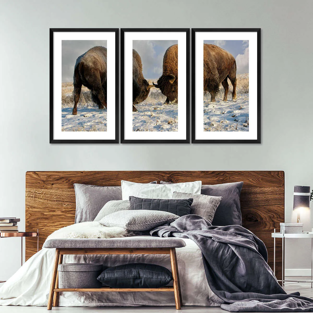 A Fight Between Two Male Bison Wall Art
