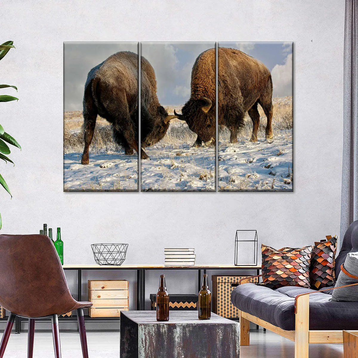 A Fight Between Two Male Bison Wall Art