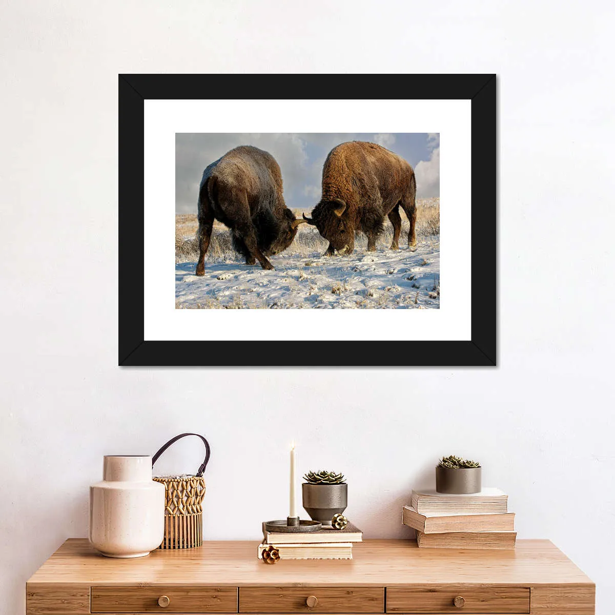 A Fight Between Two Male Bison Wall Art