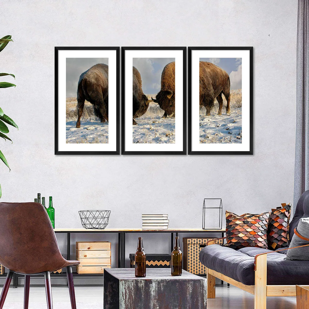 A Fight Between Two Male Bison Wall Art