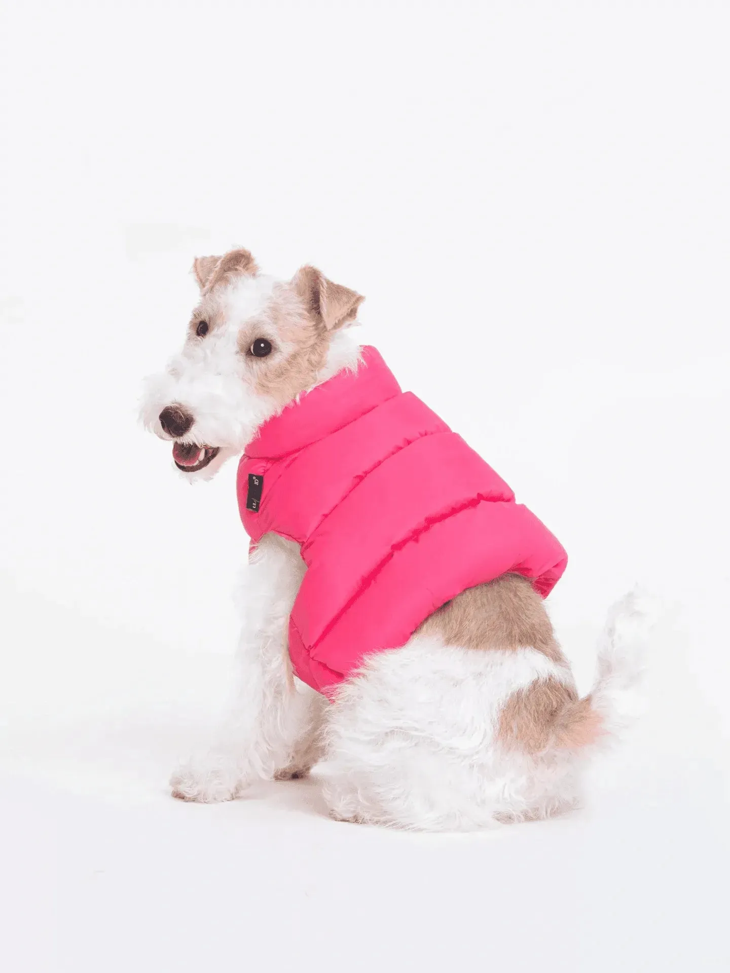 Adjustable Puffer Dog Vest