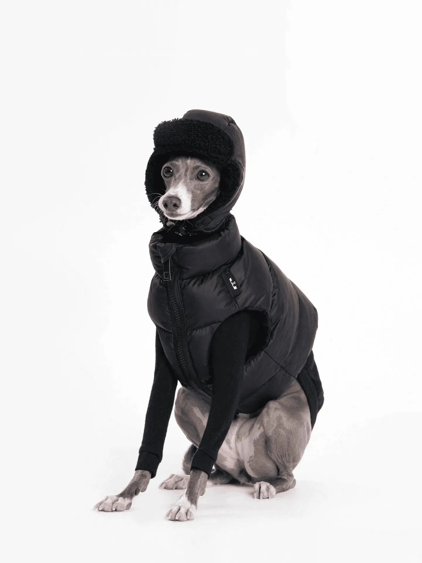Adjustable Puffer Dog Vest