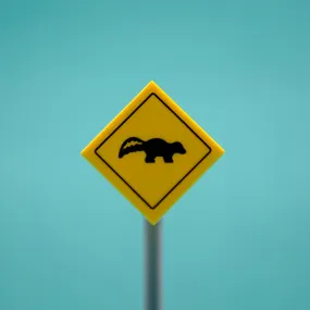 Skunk Road Sign