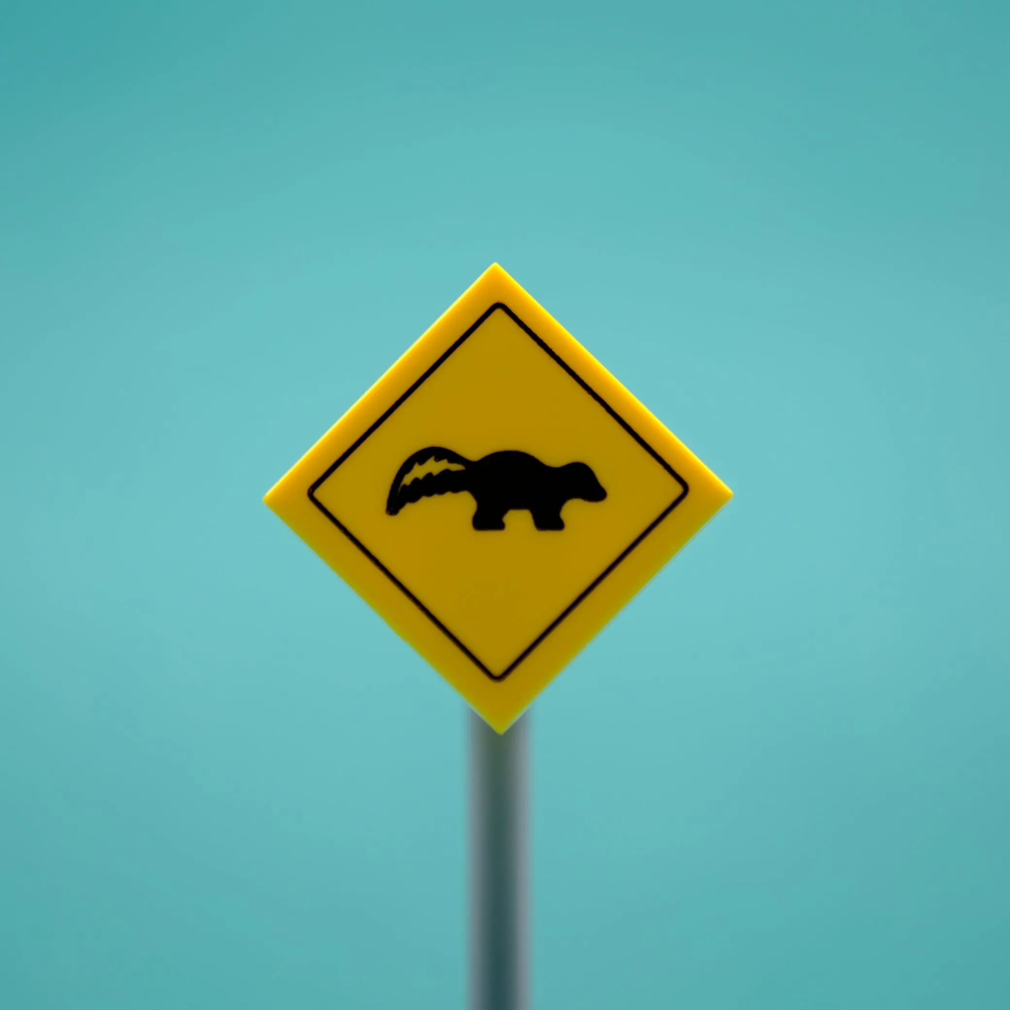 Skunk Road Sign
